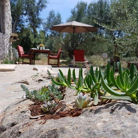 Holiday Home Strpuncina Luka  외부 사진