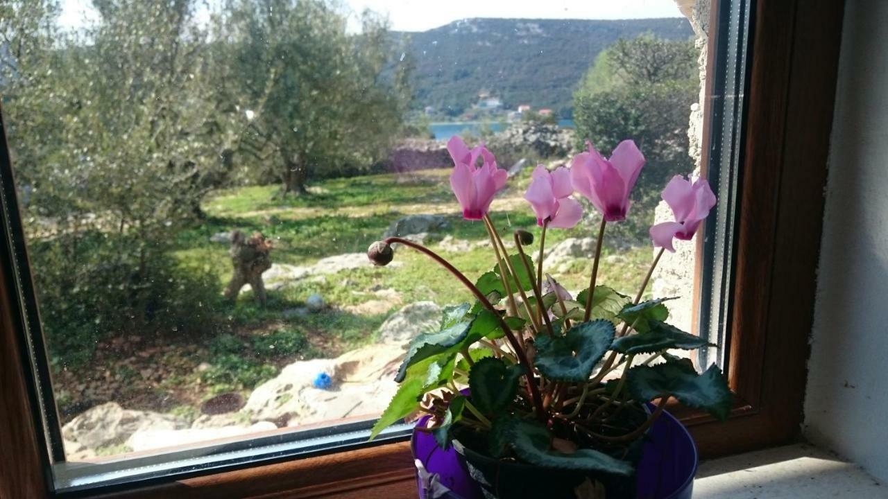 Holiday Home Strpuncina Luka  외부 사진